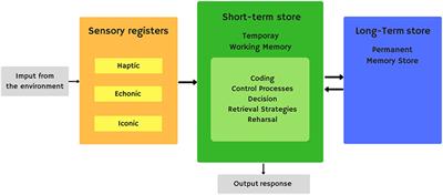 how does the human brain store and retrieve memories